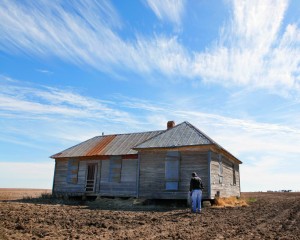 Old Cotton Farm    