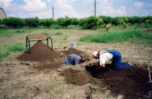 orchard digging3 