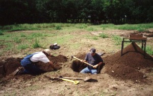 orchard digging4 