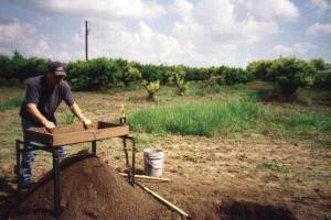 orchard digging1 