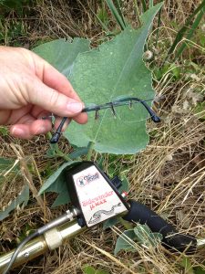 Eyeglasses found!